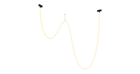 Трековый подвесной светильник Maytoni Tau TR101-2-100W3K-B