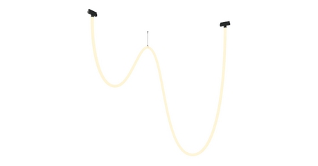 Трековый подвесной светильник Maytoni Tau TR101-2-100W3K-B