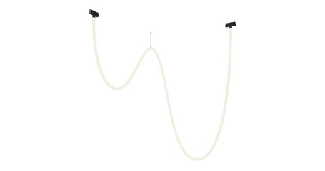 Трековый подвесной светильник Maytoni Tau TR101-2-100W4K-B