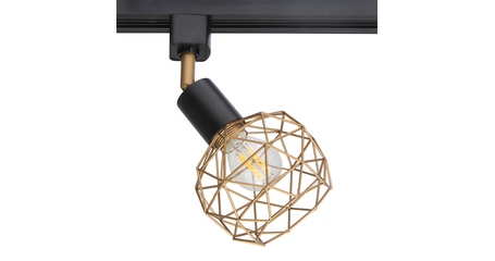 Трековый светильник Arte Lamp Sospiro A6141PL-1GO