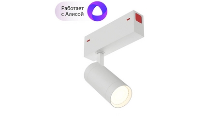 Трековый светильник Denkirs DK8010-WH