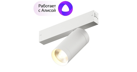 Трековый светильник Denkirs DK8020-WH