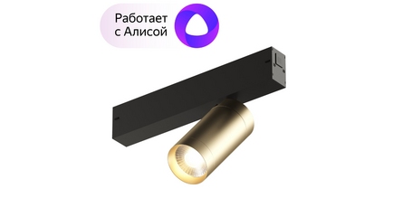 Трековый светильник Denkirs Smart DK8010-BG