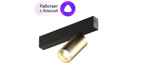 Трековый светильник Denkirs Smart DK8010-BG