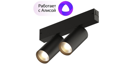 Трековый светильник Denkirs Smart DK8012-BK