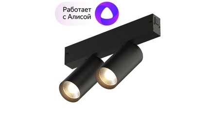 Трековый светильник Denkirs Smart DK8012-BK