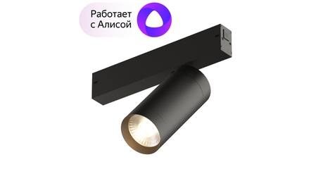 Трековый светильник Denkirs Smart DK8020-BK