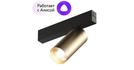 Трековый светильник Denkirs Smart Spot DK8020-BG