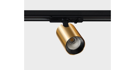 Трековый светильник Italline TR 3006 gold