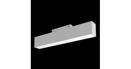 Трековый светильник Maytoni BASIS TR012-2-12W3K-W