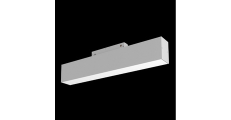 Трековый светильник Maytoni BASIS TR012-2-12W3K-W