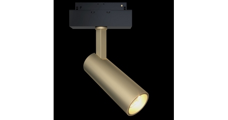 Трековый светильник Maytoni Focus LED  TR019-2-10W4K-MG