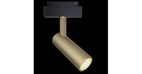 Трековый светильник Maytoni Focus LED  TR019-2-10W4K-MG