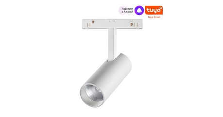Трековый светильник Novotech Flum 359495