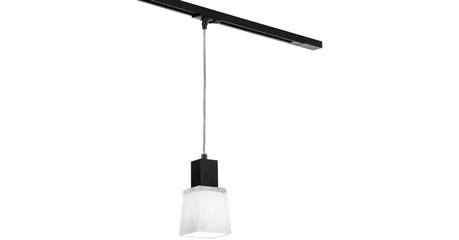 Трековый светильник однофазный Lussole Track Lights LSC-2506-01-TAB