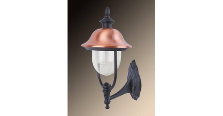 Уличный настенный светильник Arte Lamp Barcelona A1481AL-1BK