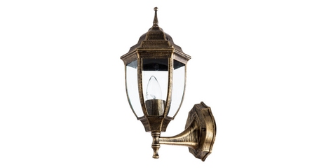 Уличный настенный светильник Arte Lamp Pegasus A3151AL-1BN