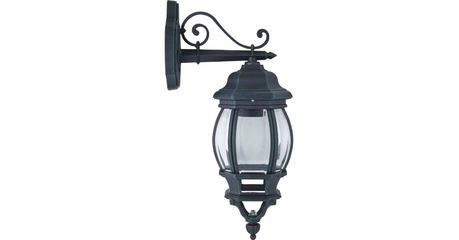 Уличный настенный светильник Favourite Paris 1807-1W