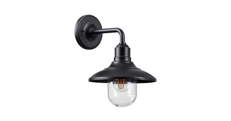 Уличный настенный светильник Odeon Light Campa 4965/1W