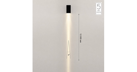 Уличный настенный светильник Odeon Light Nature Arrow 7188/3WL