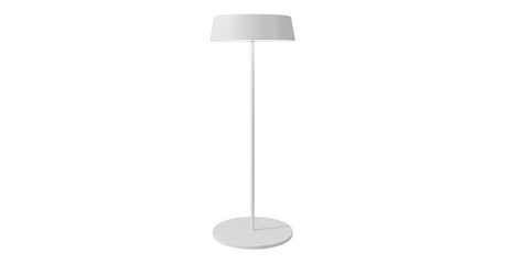 Уличный переносной аккумуляторный светильник Maytoni Porto O540TL-L2WCCT