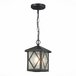 Уличный подвесной светильник ST Luce Lorne SL084.403.01