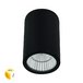 Уличный потолочный светильник Arte Lamp Torcular A1307PF-1BK