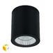 Уличный потолочный светильник Arte Lamp Torcular A1313PF-1BK