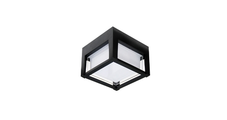 Уличный потолочный светильник Arte Lamp Ulysses A6406PF-1BK