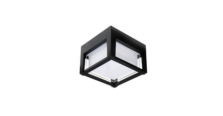 Уличный потолочный светильник Arte Lamp Ulysses A6406PF-1BK