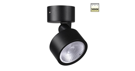 Уличный потолочный светильник Novotech Street Focus 359588