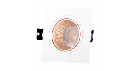 Встраиваемый светильник Denkirs Dk3021 DK3071-WBR