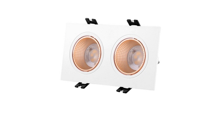 Встраиваемый светильник Denkirs Dk3022 DK3072-WBR