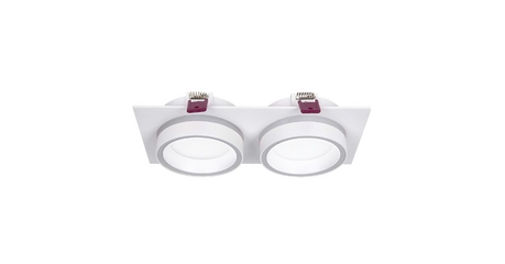 Встраиваемый светильник Favourite Vasto 4650-2C